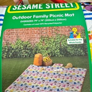 Sesame Street Multicolor Outdoor Family Picnic Mat